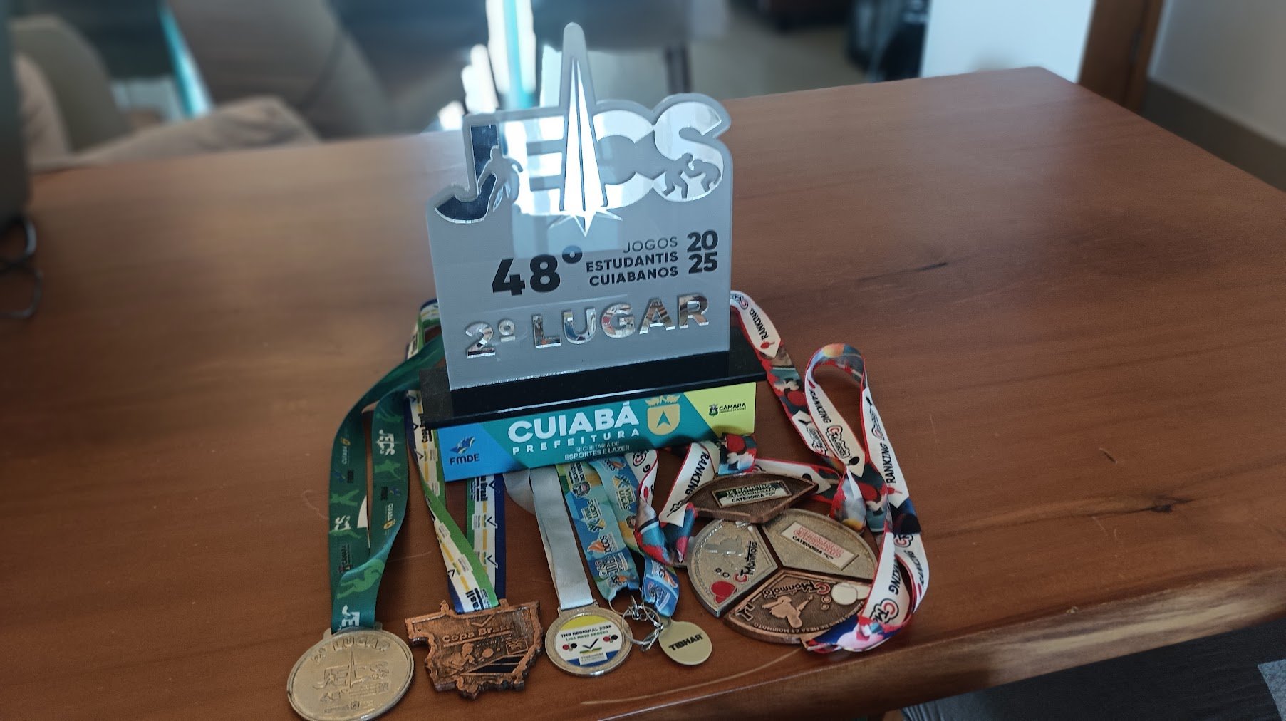 Medalhas e troféus de Breno Arrial